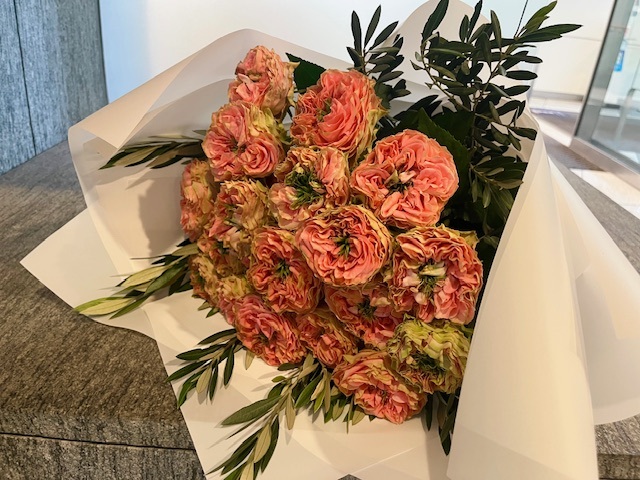 �֓��n�摗������